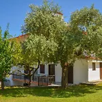 Apartman Assos