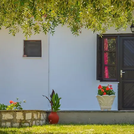 Assos Apartman Kínira
