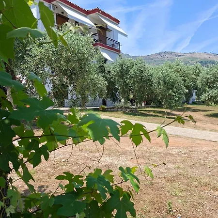 Apartament Assos Koinira