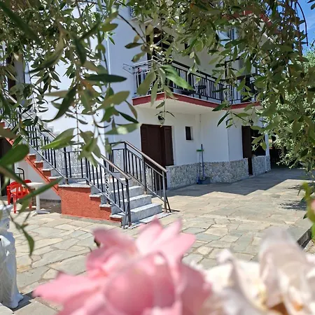 Apartament Assos