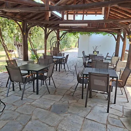 Assos Apartament