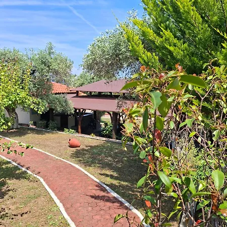 Apartament Assos *